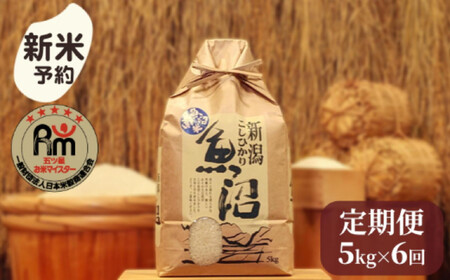 【新米予約】令和７年産「五つ星お米マイスター」の南魚沼産コシヒカリ　精米5kg×６回（毎月定期便）【2025年10月上旬より順次発送予定】