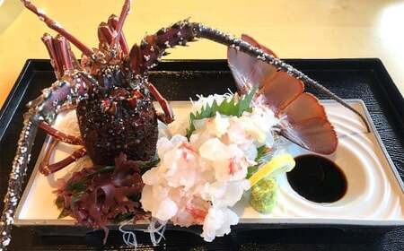 伊勢海老 1kg以上 伊勢エビ イセエビ 海鮮 魚介 冷蔵 愛媛県【2025年9月上旬～2026年1月下旬発送予定】 （846）