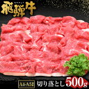 【ふるさと納税】＼行列の絶えない人気精肉店が厳選／ 飛騨牛 切り落とし 500g A5 A4 等級 肉のかた山 岐阜県 が誇る 国産 牛肉 ブランド牛 黒毛 和牛 の ロース 冷凍 でお届け 焼き肉 すき焼き しゃぶしゃぶ 炒め物 に最適 肉ギフト ギフト M11S66