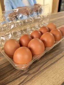 黒鶏ネラの卵 20個 卵