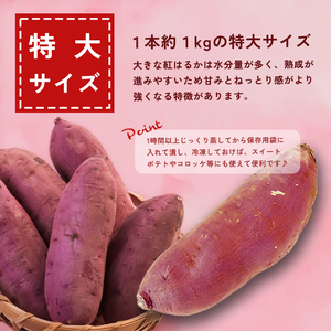 【訳あり】 【2027年1月発送】 舞鶴産 熟成さつまいも 8kg （紅はるか） 特大