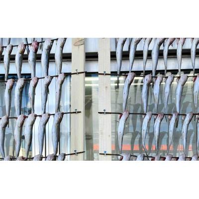 ふるさと納税 厚岸町 北海道厚岸産 丸干しコマイ 190g×5パック |  | 02