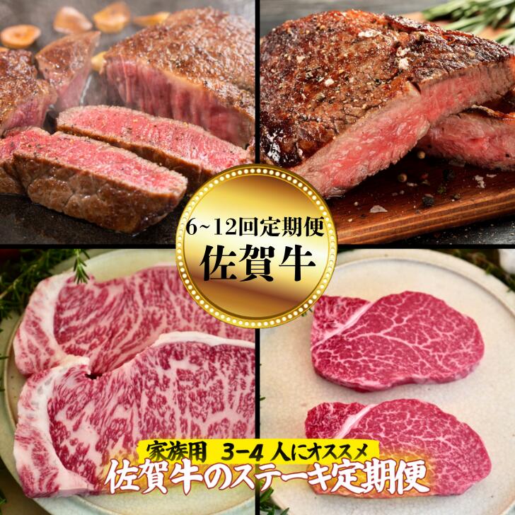 【ふるさと納税】【定期便 全6回～12回】【家族用】佐賀牛のステーキ定期便 サーロインステーキ 赤身ステーキ サイコロステーキ 希少部位ステーキ ヒレステーキ ハンバーグステーキ：C137-007