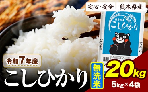 令和7年産  こしひかり 20kg 《7-14日以内に出荷予定(土日祝除く)》令和7年産 熊本県産 ふるさと納税  無洗米 ひの 米 こめ ふるさとのうぜい コシヒカリ コメ お米 おこめ