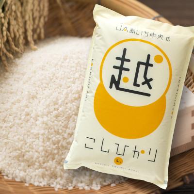 ふるさと納税 安城市 愛知県産コシヒカリ白米5kg