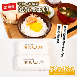 定期便 平飼い有精卵 滋賀竜王卵 20個 × 12ヵ月 ※割れ保証各3個 ( こんもり盛り上がるプルプルな卵白 滋賀竜王卵 新鮮 平飼い 卵 純国産 鶏もみじ 大人気 たまご 鶏卵 卵黄 エッグ 希少 たまごかけ ご飯 玉子 タマゴ 玉子焼き たまご焼き すき焼き 鶏 ケーキ 産地直送 国産 滋賀県 竜王町 ふるさと納税 )