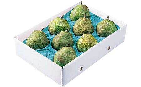 山形県産 ラ・フランス 約3kg FSY-2240