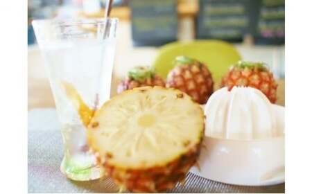 2026年 先行予約 島パイン (ハワイ種) 約3kg (2～3玉) ますみ農園 ”蜜たっぷり” パイン パイナップル 果物 フルーツ