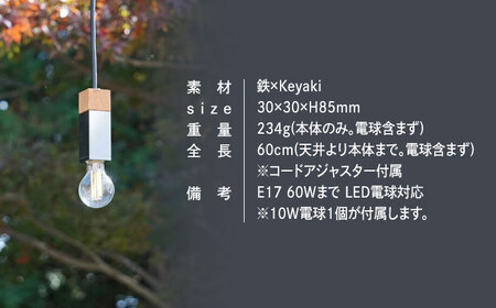 CTSH LIGHT. ペンダントライト SQUARE＜Keyaki×クロム加工 E17＞ 瑞浪市 / ジオニック 照明器具 ソケット 鉄 木製 シルバー [AZBQ053]