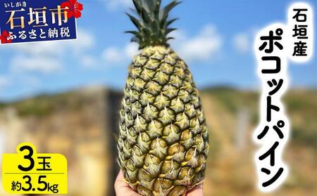 石垣島産 ポコットパイン 3個 約3.5kg