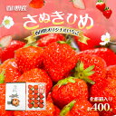 【ふるさと納税】【1月から順次発送】さぬきひめ苺（化粧箱入り）　【果物類・いちご・苺・イチゴ】　お届け：2024年1月中旬～4月下旬