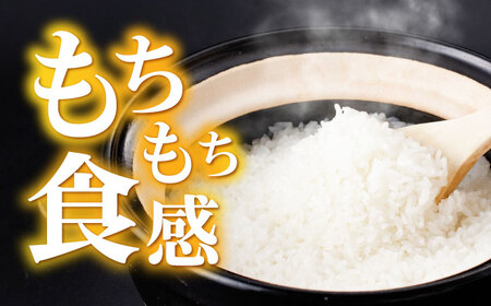 循環農法米 なつほのか白米 5kg / 米 こめ コメ おこめ お米 白米 なつほのか / 諫早市 / 株式会社土井農場[AHAD096]