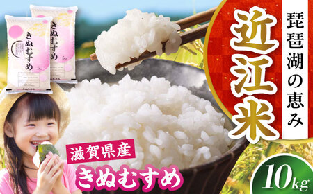 【令和7年産新米】きぬむすめ 10kg 白米 [AQDH006] きぬむすめ 白米