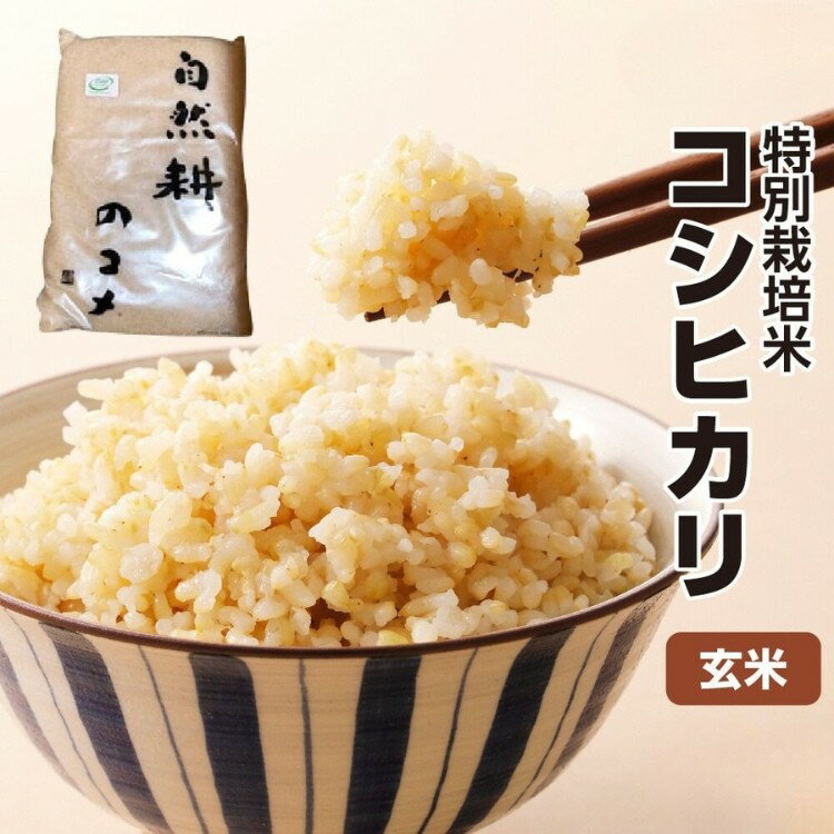 【ふるさと納税】令和7年度産 特別栽培米 コシヒカリ玄米｜コシヒカリ 玄米 お米 ブランド米 ライス 炭水化物 ご飯 主食 食卓 おにぎり お弁当 ミネラル米 こしひかり ごはん こめ コメ 産地直送 国産 茨城県産 常総市 運動会 アウトドア キャンプ