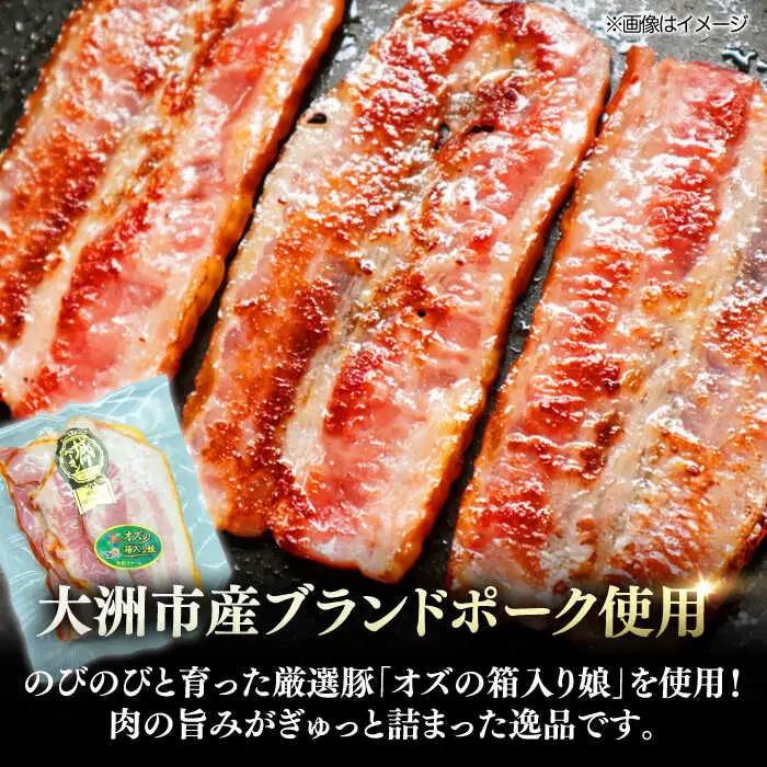 ベーコン【全6回定期便】スライス 120g×10個 ベーコン[AGAZ032]
