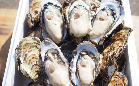 【先行予約】【10月中旬から順次発送】カキ 殻付き2年貝 約2.5kg・むき身1年貝 400g セット 佐呂間産 ［4回定期便］ SRMA011