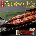 【ふるさと納税】【配送月が選べる】 九州産 うなぎ蒲焼き 1～5尾 計約120g～600g タレ付 うなぎ ウナギ 鰻 うなぎの蒲焼き 鰻蒲焼 蒲焼き たれ 国産うなぎ 惣菜 おつまみ 土用の丑の日 冷凍 真空パック 国産 鹿児島県 薩摩川内市 送料無料 国産きざみうなぎごぼう入り付