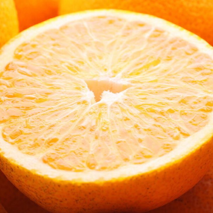 ＜4月より発送＞厳選 樹上完熟はっさく1kg+250g（傷み補償分）【有田の春みかん・五月八朔・さつきはっさく・木生りはっさく・きなりはっさく】【光センサー選別】