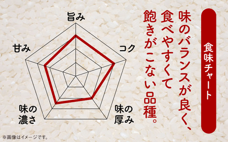 令和5年産　潟上市産あきたこまち（精米）4kg（2kg×2）【鐙惣米穀店】