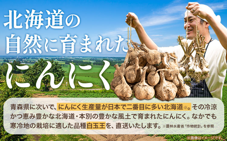 土付き にんにく 白玉王 1kg Mサイズ 本別町産 斎啓一【先行予約】《2025年8月上旬-9月末頃出荷》 ニンニク ガーリック 乾燥にんにく スタミナ 野菜 1キロ 先行予約---hsh_tnnk