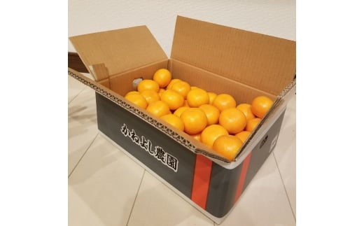 M250　かねよし農園みかん５ｋｇ　Ｓサイズ