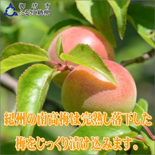 【0913-4】【家庭用】紀州南高梅　はちみつ梅　1.2ｋｇ