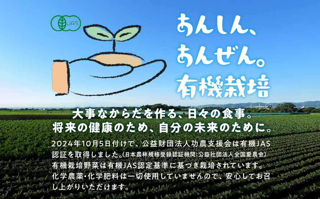 㓛農野菜8種類セット 8種 野菜 セット 有機栽培 ミニトマト アスパラ トマト ほうれん草 水菜 春菊 ネギ 小松菜 高糖度 新鮮 産地直送 季節の野菜 詰め合わせ やさい 自然 安心安全 旬 送料