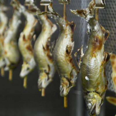 ふるさと納税 彦根市 【あゆの店きむら】 滋賀県産 あゆの塩焼き 5尾入 |  | 03