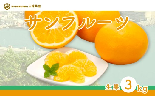 【先行予約】サンフルーツ（生果3kg）※離島への配送不可（2027年2月上旬～3月上旬頃より順次発送） 【 ふるさと納税 人気 おすすめ ランキング 柑橘 みかん ミカン サンフルーツ mikan 蜜柑 果物 生果 フルーツ 愛媛県産 愛媛県 伊方町 送料無料 】 IKTBD012