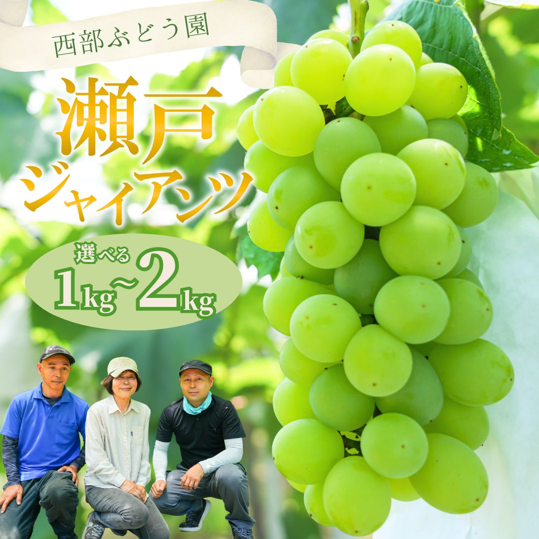 【ふるさと納税】【選べる内容量！】西部ぶどう園 瀬戸ジャイアンツ 1~2kg | 薄皮 種なし 大粒 葡萄 ぶどう ブドウ フルーツ 果物 皮ごとOK 白ぶどう 高糖度 詰合せ 数量限定 ※沖縄・離島への配送不可 ※2025年9月下旬～10月下旬頃に順次発送予定