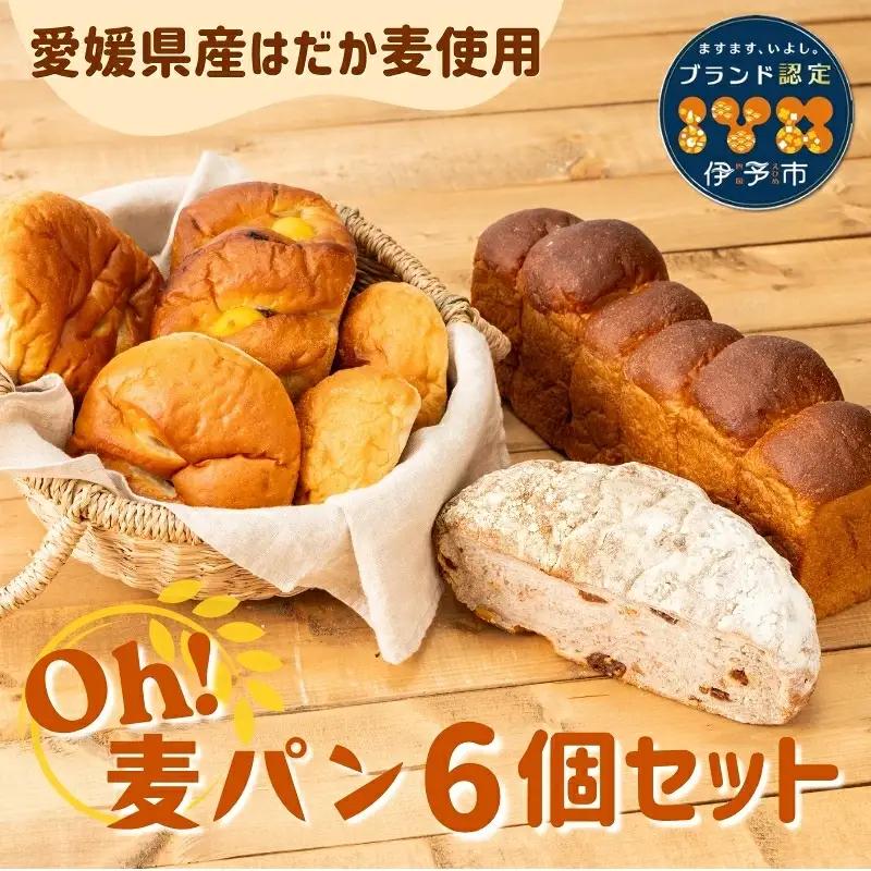 【愛媛県産はだか麦使用】Ｏｈ！麦パン ６個セット｜B67