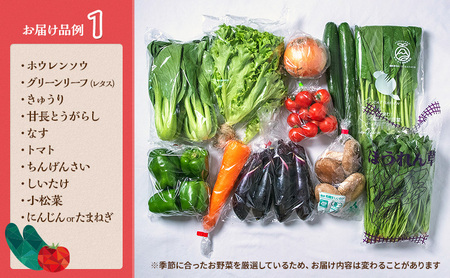 野菜 とれたて 季節の野菜 パック 8品 詰め合わせ 野菜