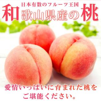 紀州和歌山産の桃　約1.8kg　化粧箱入【上富田町】【配送不可地域：離島・北海道・沖縄県】