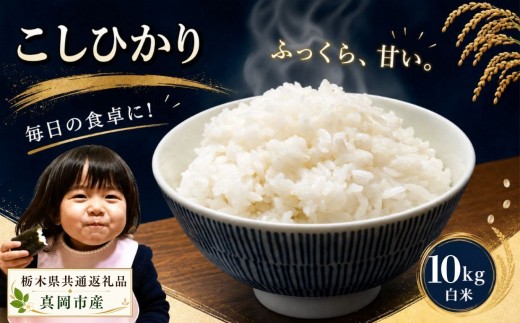 お米 令和8年産 こしひかり 白米 10kg【2026年 先行予約】 | 栃木県共通返礼品 真岡市産