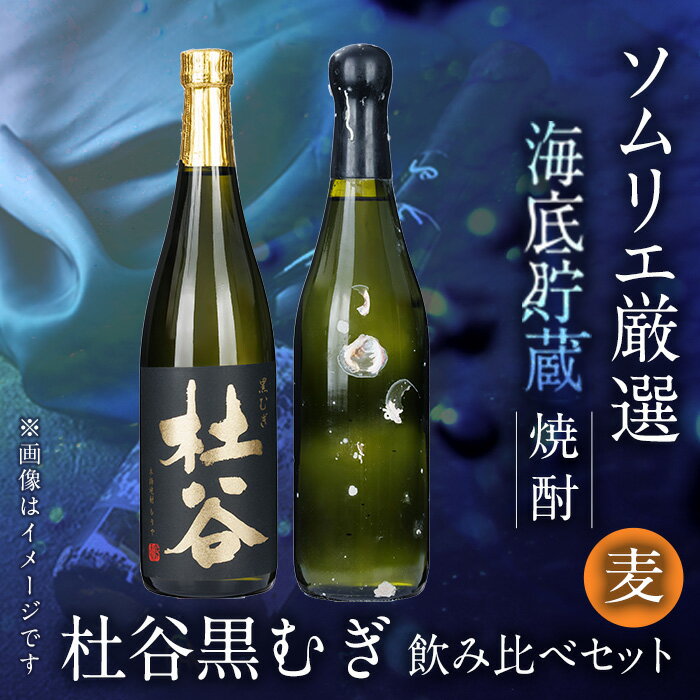 【ふるさと納税】海底貯蔵 麦焼酎 ソムリエ厳選 飲み比べセット 杜谷黒むぎ (720ml・各1本) 大分県産 国産 焼酎 麦 酒 25度 糖質ゼロ 海底酒 熟成 大分県 佐伯市【FP031】【フルタ酒店】