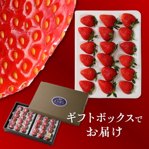 池田農園の完熟よつぼしプレミアムギフト (380g×2パック)　計760g_Fi111