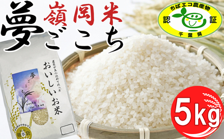 【令和6年産】嶺南ファームの嶺岡米「夢ごこち」 5kg　[0015-0049]