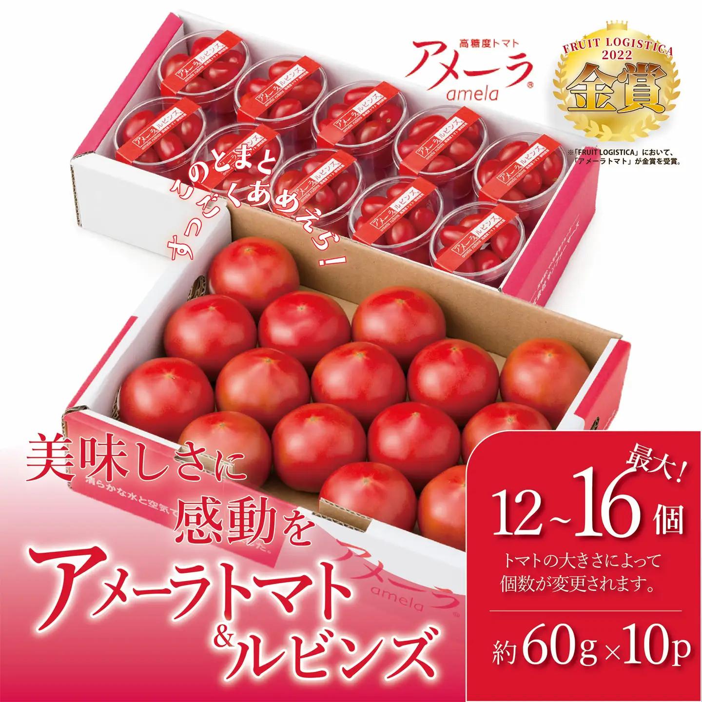 【先行予約】トマト ミニトマト アメーラ＆ルビンズ10P