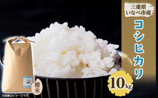 令和8年産　特別栽培米コシヒカリ 10kg【1431742】