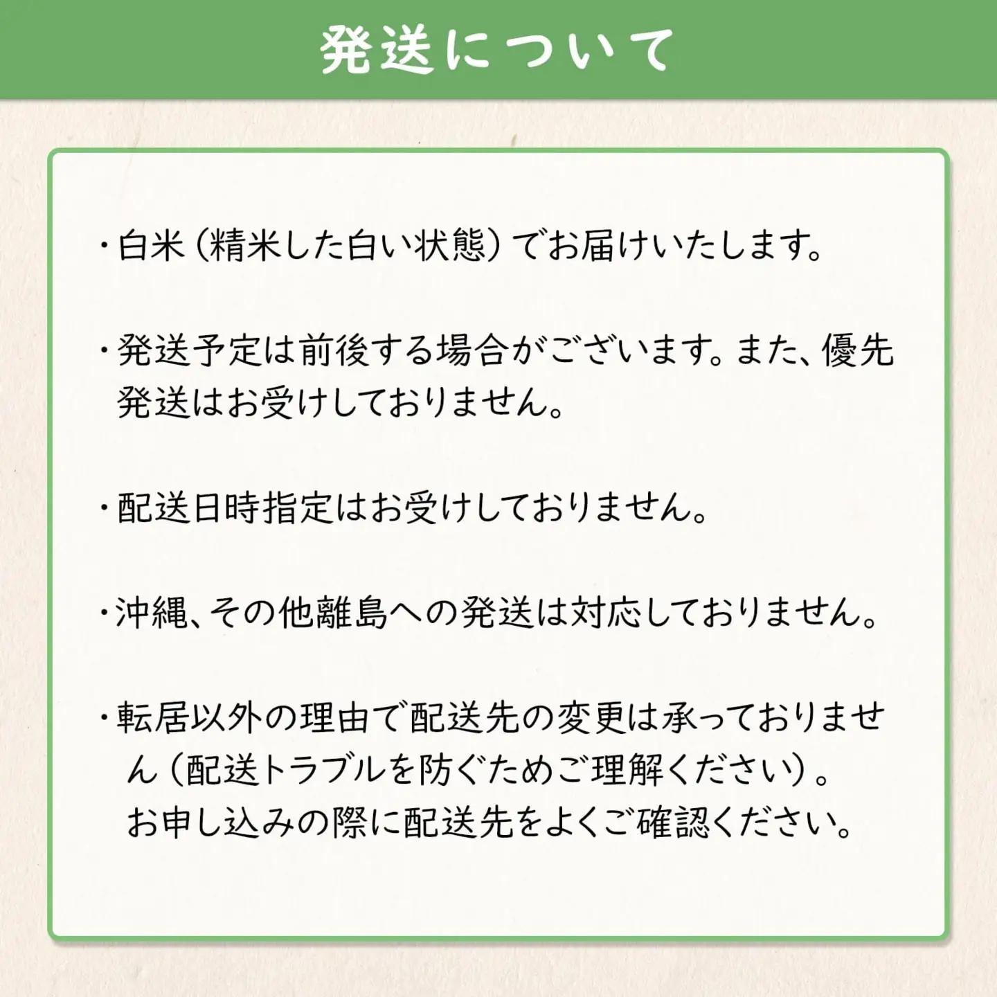 米 コシヒカリ 10kg 新米 国産 米 S264