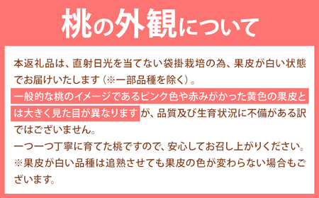 【令和6年度出荷 先行予約】桃 岡山の桃 約1kg(3~5玉前後)《2024年6月下旬-9月上旬頃より順次出荷》 ご家庭用 訳あり 白桃 岡山 はくとう スイーツ フルーツ 果物 デザート 旬 モモ 