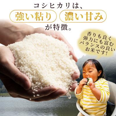 ふるさと納税 西予市 【先行予約】新米 <令和7年産 コシヒカリ「つるの寝どこまい」約5kg 西予市宇和町産> |  | 02