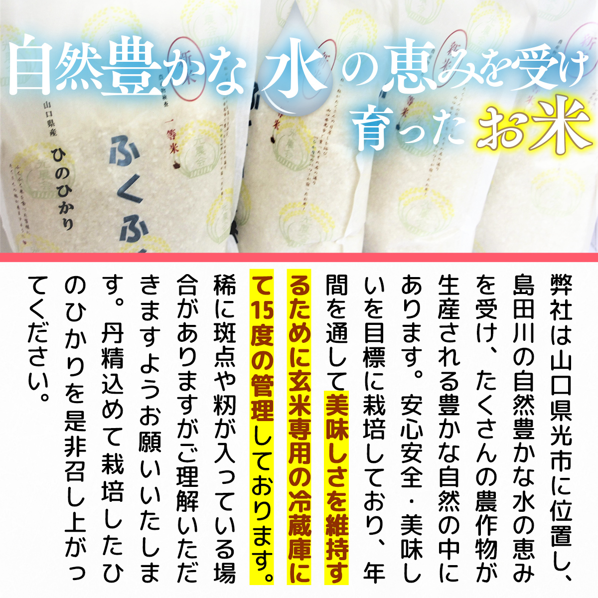 BM003 山口県産 ひのひかり 8kg 米 精米