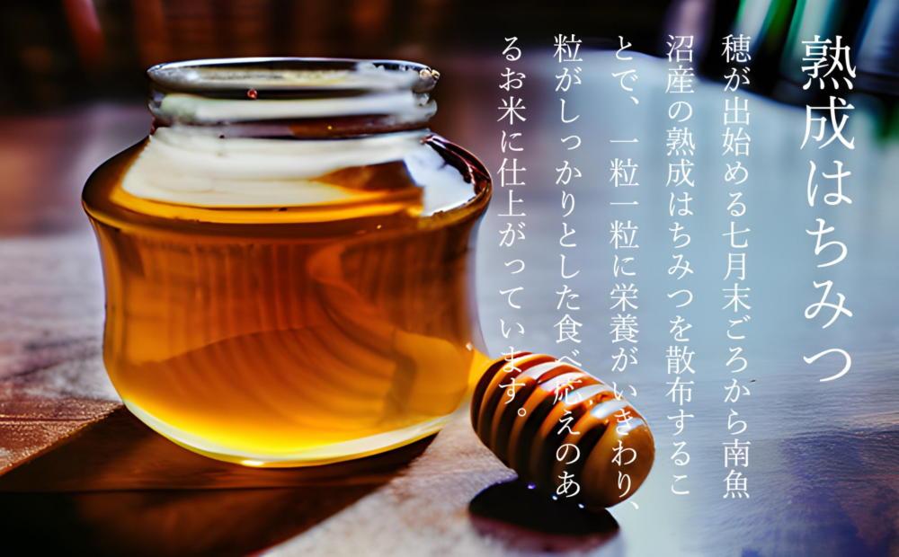 【令和7年産新米予約】【定期便】南魚沼塩沢産コシヒカリ「然然」　農薬5割減栽培　精米5kg x 全6回【2025年10月1日より順次発送予定】