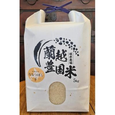 ふるさと納税 蘭越町 【令和7年産】らんこし米 坂井農場 ななつぼし 5kg