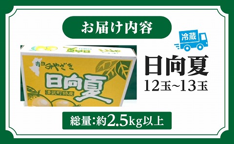 《2026年発送先行予約》【数量・期間限定】日向夏「匠」プレミアム12 甘い 酸っぱい 完熟