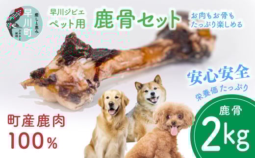 早川ジビエペット用鹿骨セット