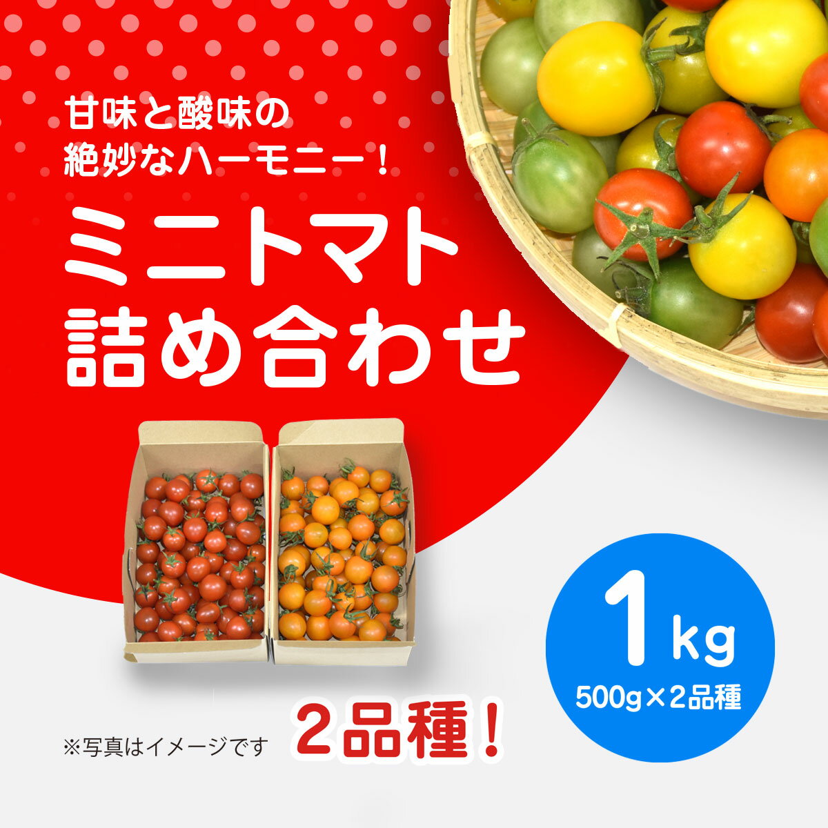 【ふるさと納税】【先行予約】【11月から発送】甘味と酸味の絶妙なハーモニー! ミニトマト 詰め合わせ 1kg（500g×2品種） SMCA003 ※離島（沖縄含む）への配送は不可