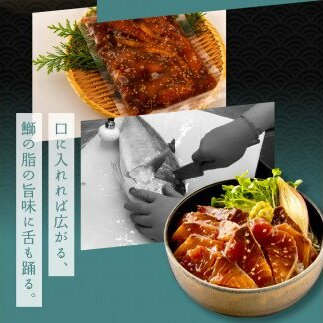 KYF121　緊急支援 海鮮「ブリの漬け丼の素」1食80g×10P《迷子の鰤を食べて応援 養殖生産業者応援プロジェクト》応援 順次出荷中 惣菜 そうざい冷凍 保存食 小分け パック 高知 海鮮丼 一人