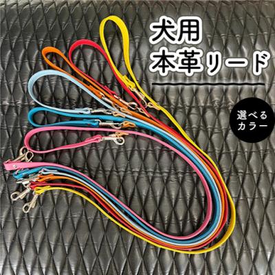 ふるさと納税 春日井市 犬用・本革リード　色:ピンク